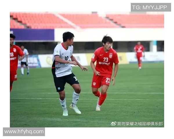 南京足球队的奋斗历程与荣耀追寻:一段不屈的足球纪实之旅 南京足球队的奋斗历程与荣耀追寻:一段不屈的足球纪实之旅